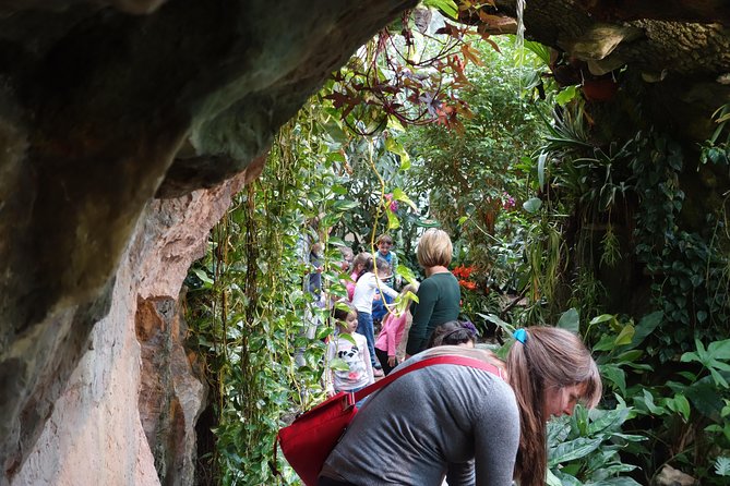 Schmetterlinghaus - Imperial Butterfly House Vienna Admission Ticket - Is it suitable for children and older visitors?
