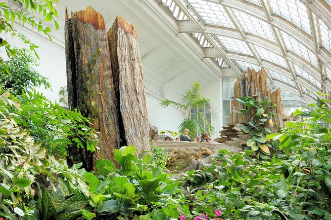 Schmetterlinghaus - Imperial Butterfly House Vienna Admission Ticket - The palmhouse setting is the main event