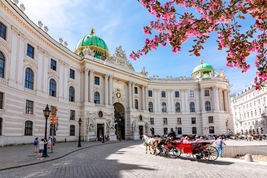 Skip-the-line Private Tour Kunsthistorisches Museum Vienna - The lunch and water problem