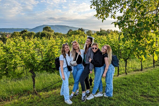 Small-group Vienna Wine Tour - The group size and the feel of the afternoon