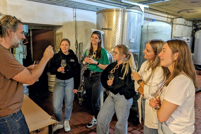 Small-group Vienna Wine Tour - Is $137.75 a fair price?