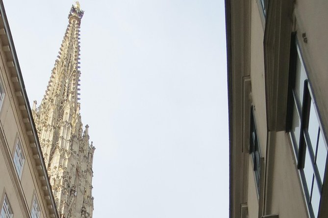 St. Stephen's cathedral - old symbol newly discovered - Key points to know before booking