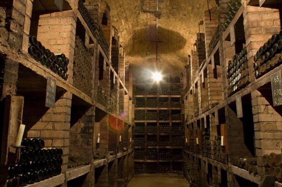 Taste and Tour Small Organic Wineries with a Winemaker - Should you book Taste and Tour Small Organic Wineries?