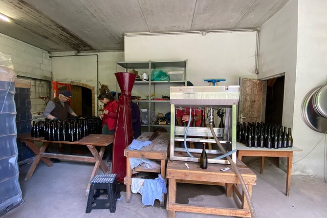 Taste and Tour Small Organic Wineries with a Winemaker - A winemaker’s second chapter near Krems