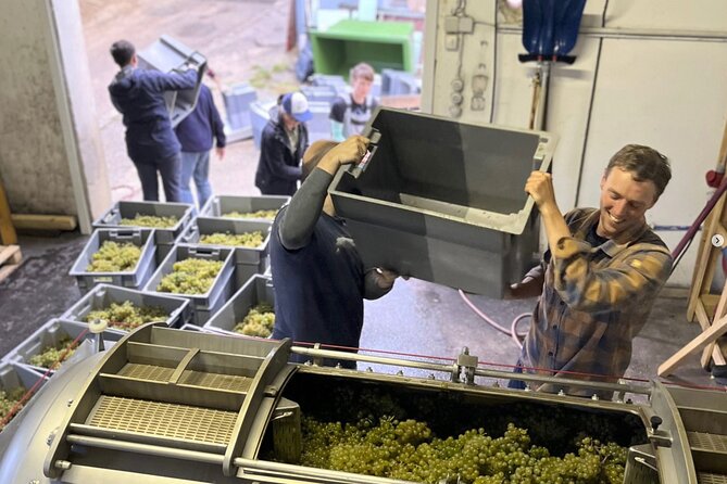 Taste and Tour Small Organic Wineries with a Winemaker - Stop one: Chris’s own vineyard
