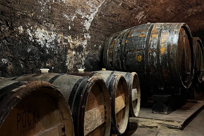 Taste and Tour Small Organic Wineries with a Winemaker - Two small wineries and two different ways of working