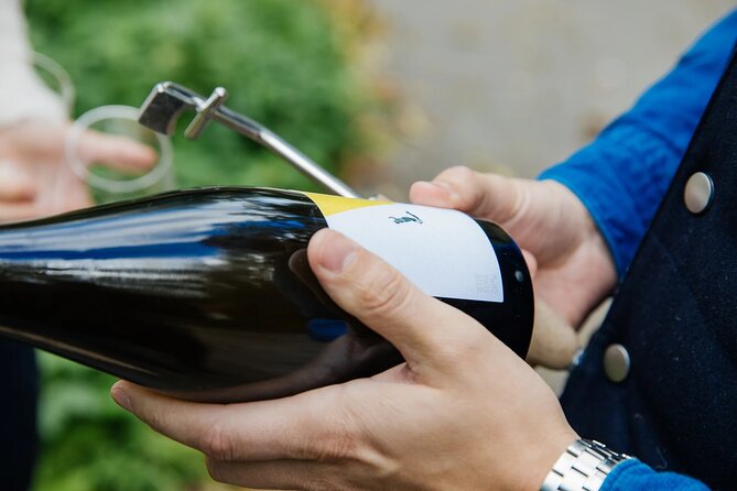 Taste and Tour Small Organic Wineries with a Winemaker - What the tastings are really like