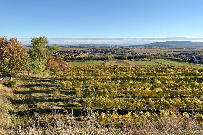 Taste and Tour Small Organic Wineries with a Winemaker - Who will enjoy this afternoon most