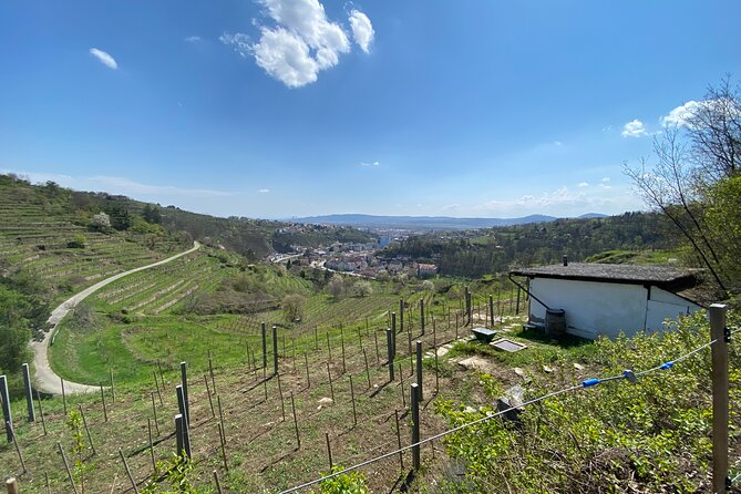 Taste and Tour Small Organic Wineries with a Winemaker - Meeting at Bahnhofplatz 3