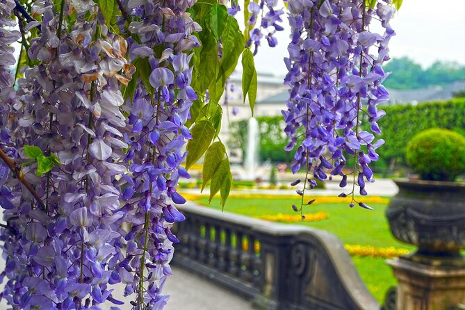 Transfer from Vienna to Salzburg with 2 hours for sightseeing - Why this transfer makes sense between Vienna and Salzburg