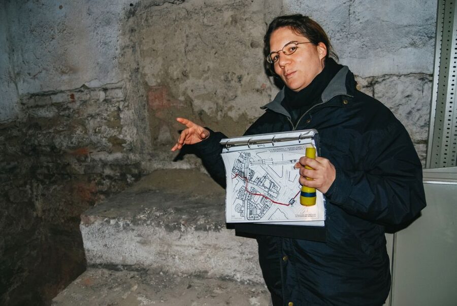 Vienna: 1.5-Hour Underground Walking Tour - Starting at the Michaelerplatz excavation
