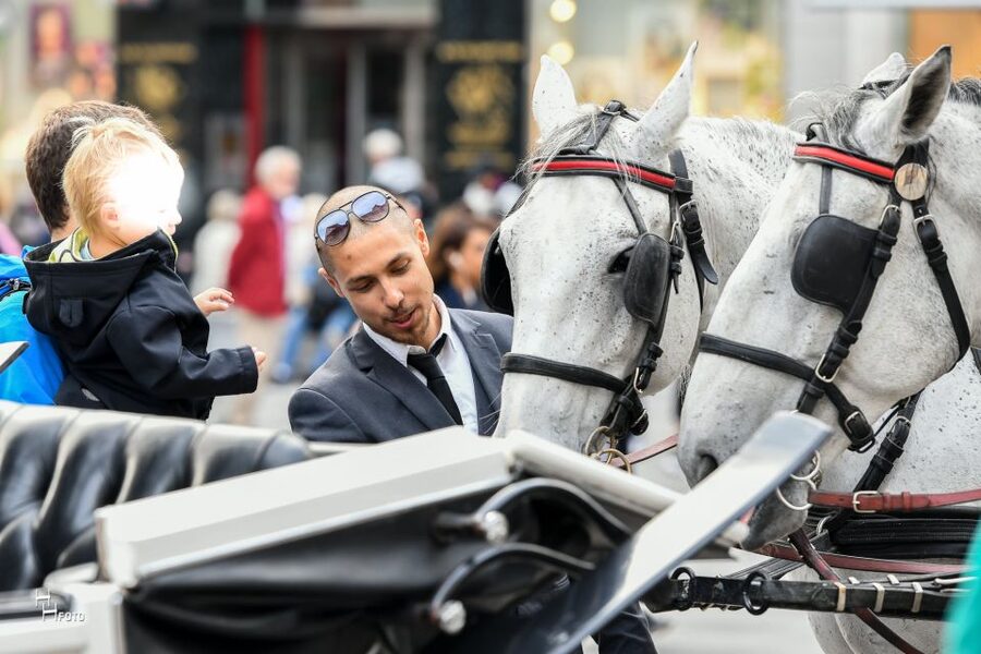 Vienna: 30-Minute Fiaker Ride in the Old Town - Parliament and Pallas Athene