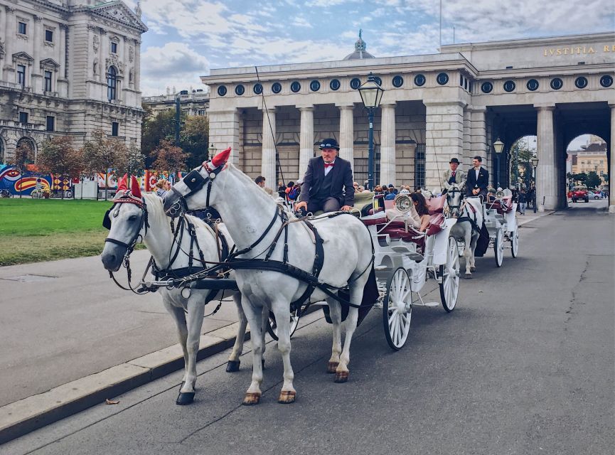 Vienna: 30-Minute Fiaker Ride in the Old Town - Vienna Town Hall and its busy square