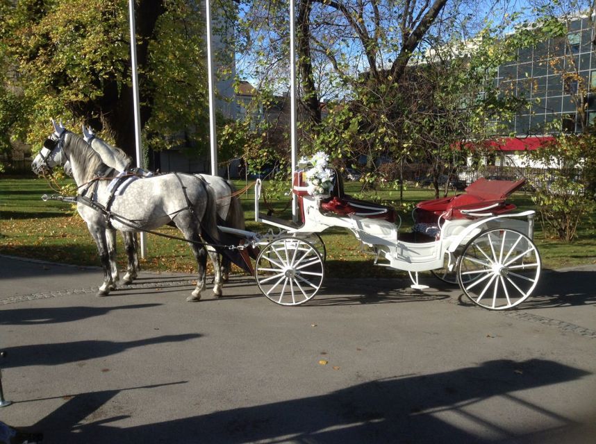 Vienna: 30-Minute Fiaker Ride in the Old Town - What the guide adds to the ride