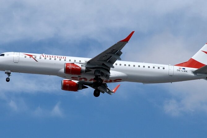 Vienna Airport Transfer from Vienna City with Private Driver - Meet your chauffeur before the airport run