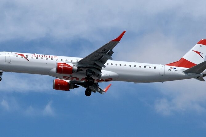 Vienna Airport Transfers From Vienna City With Private Driver - Arriving at the Correct Vienna Airport Area