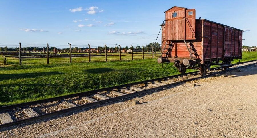 Vienna: Auschwitz Birkenau Full-Day Tour w/ Hotel Transfers - Why This Day Trip Matters