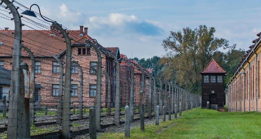 Vienna: Auschwitz Birkenau Full-Day Tour w/ Hotel Transfers - Booking Tips for a Difficult but Important Day