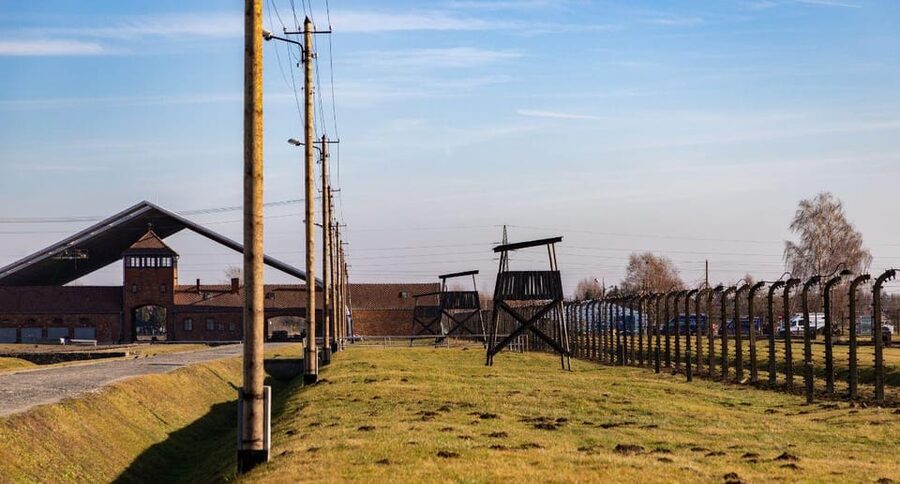 Vienna: Auschwitz Birkenau Full-Day Tour w/ Hotel Transfers - Auschwitz II-Birkenau, Scale and Ruins