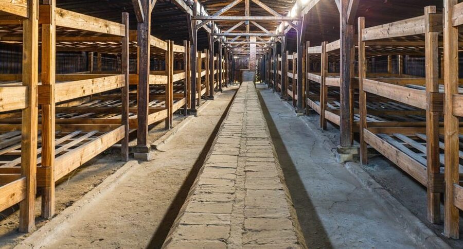 Vienna: Auschwitz Birkenau Full-Day Tour w/ Hotel Transfers - A Quiet Hour for Lunch and Reflection