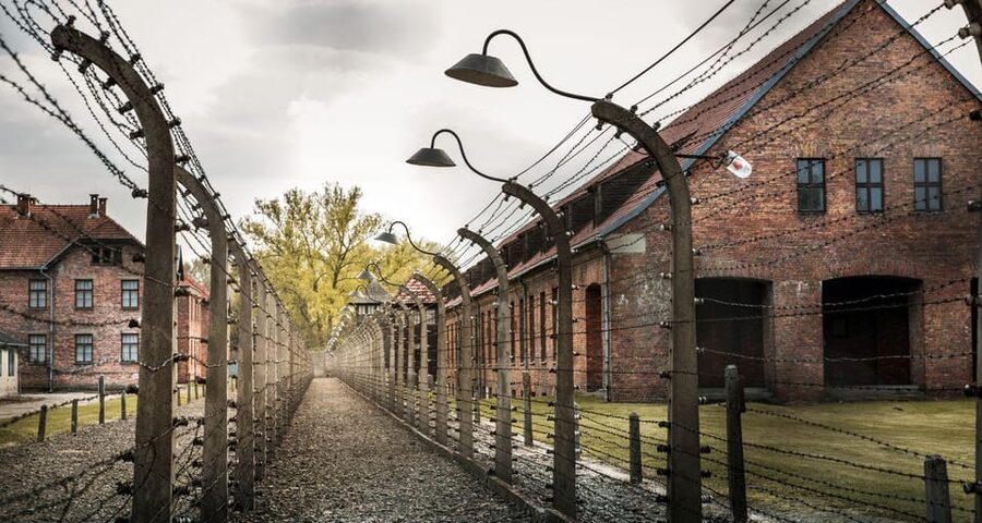 Vienna: Auschwitz Birkenau Full-Day Tour w/ Hotel Transfers - What the $666 Price Really Covers