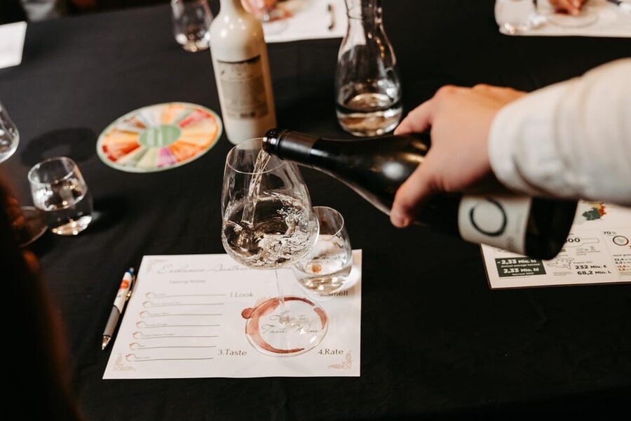 Vienna: Austrian Wine Tasting Evening - Who should book this tasting?