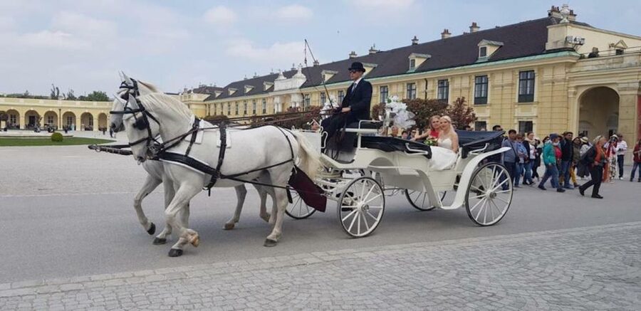 Vienna: Carriage Ride Through Schönbrunn Palace Gardens - A Gentle Introduction to Schönbrunn’s Gardens