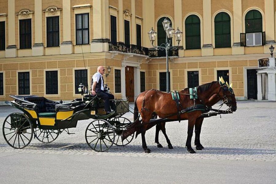Vienna: Carriage Ride Through Schönbrunn Palace Gardens - Neptune Fountain and the Gloriette