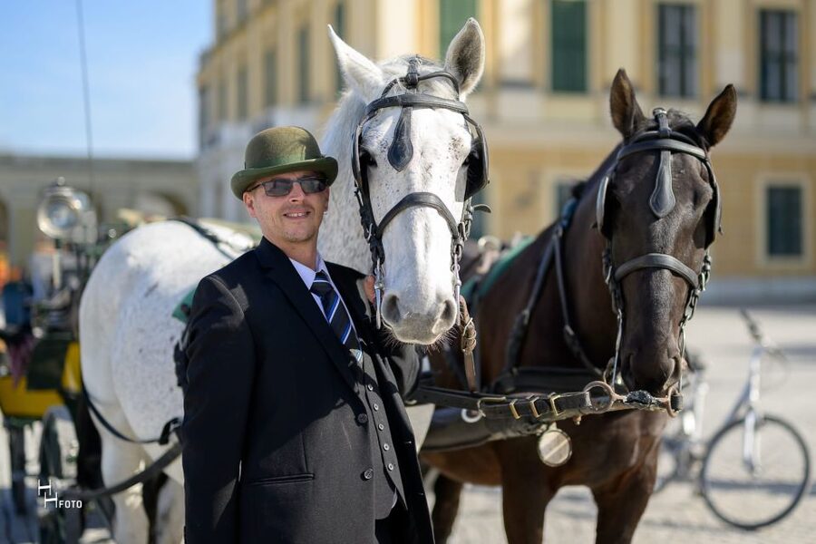 Vienna: Carriage Ride Through Schönbrunn Palace Gardens - Palm House, Orangerie, and Imperial-Era Buildings