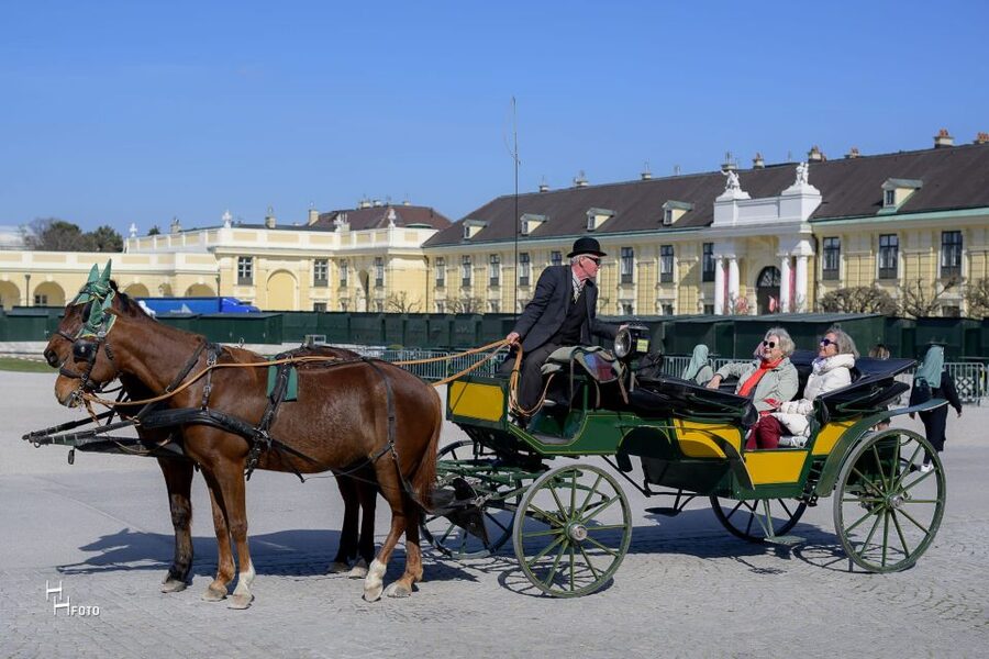 Vienna: Carriage Ride Through Schönbrunn Palace Gardens - Stories from a Viennese Fiaker