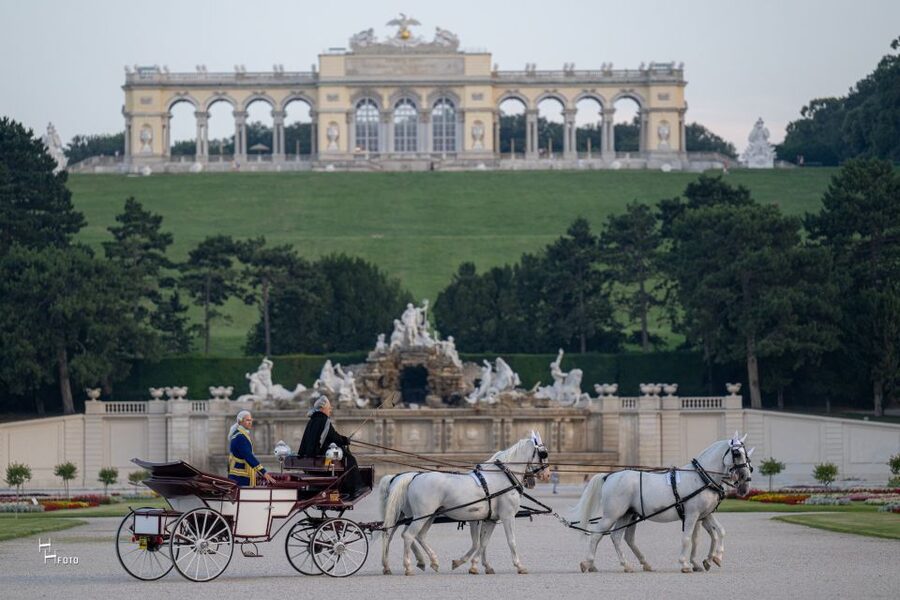 Vienna: Carriage Ride Through Schönbrunn Palace Gardens - The Best Time to Fit It Into Your Day