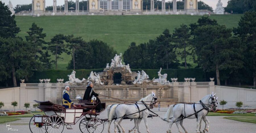 Vienna: Carriage Ride Through Schönbrunn Palace Gardens - Who Will Enjoy This Ride Most
