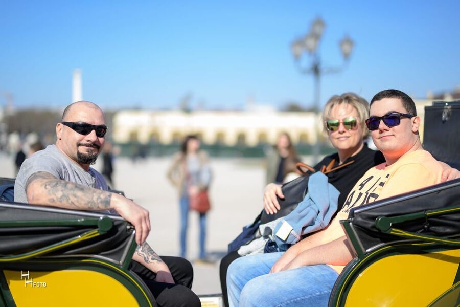 Vienna: Carriage Ride Through Schönbrunn Palace Gardens - The Palace View and Baroque Garden