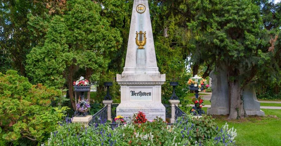 Vienna Central Cemetery Walking Tour with Transfers - Who will enjoy this cemetery tour most?