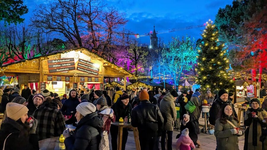 Vienna: Christmas Market Food and Drinks Tour - Who should book this food tour?