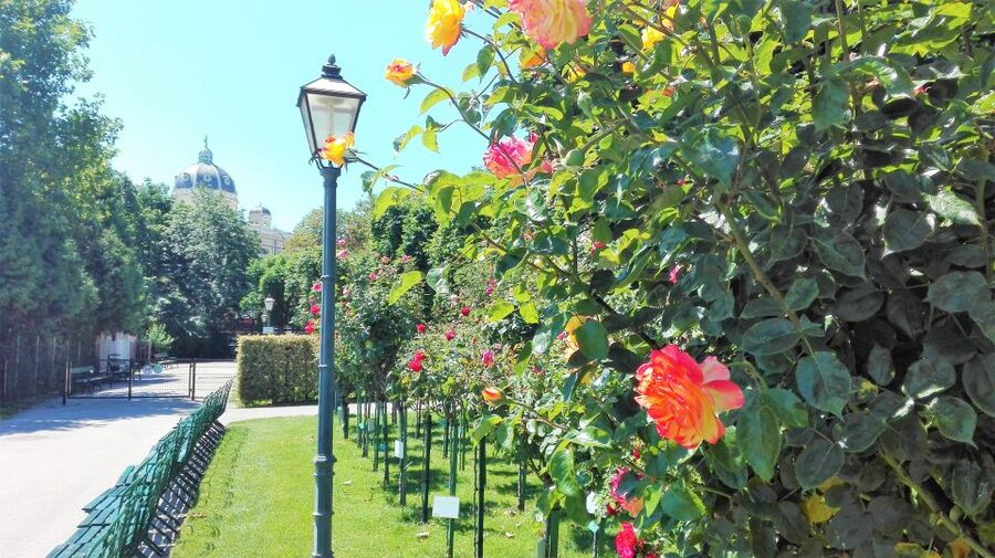 Vienna: City Highlights Guided Walking Tour & Old Town - Key points at a glance