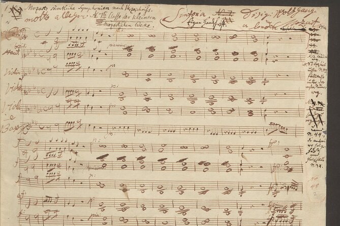 Vienna: City of Music Private Walking Tour - The Hofburg and Beethoven’s aristocratic connections