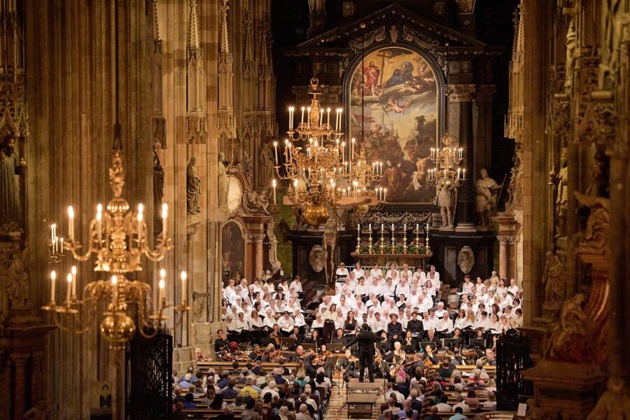 Vienna: Classical Concert at St. Stephen's Cathedral - Who should book this cathedral concert