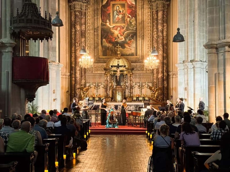 Vienna: Classical Concerts in the Minorite Church Ticket - Who should book this concert