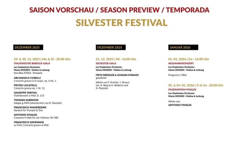 Vienna: Classical Concerts in the Minorite Church Ticket - Seating, sound, and the value of paying more