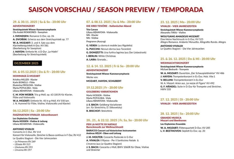 Vienna: Classical Concerts in the Minorite Church Ticket - The musicians and the character of the performance