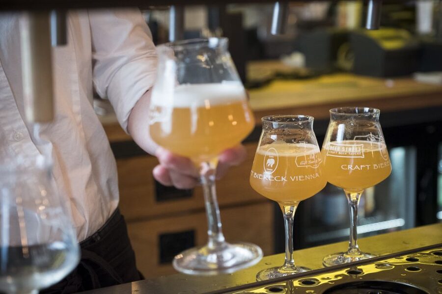 Vienna: Craft Beer Tasting Experience with Local Snacks - Inside a Vienna city brewery