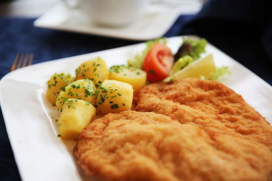 Vienna: Cruise and Schnitzel Tour - The lock passages are part of the show