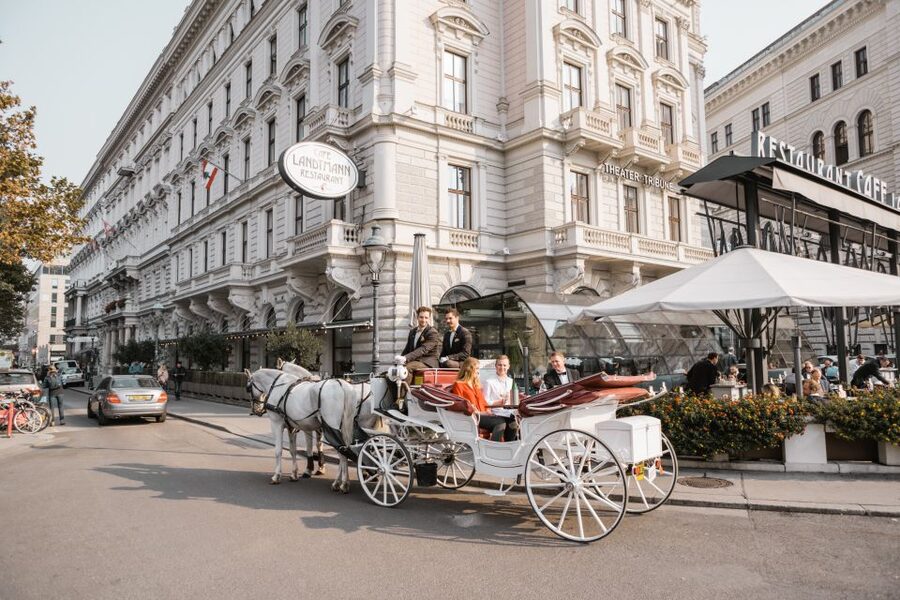 Vienna: Culinary Horse-Drawn Carriage Experience - Should you book the Culinary Horse-Drawn Carriage Experience?