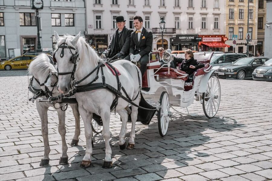 Vienna: Culinary Horse-Drawn Carriage Experience - Who will enjoy this most?