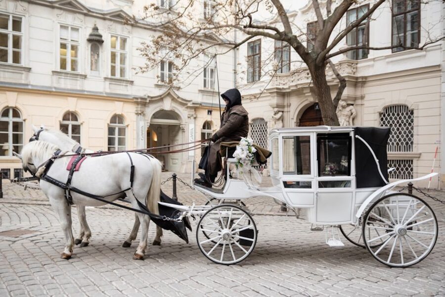 Vienna: Culinary Horse-Drawn Carriage Experience - Booking advice for a smoother experience