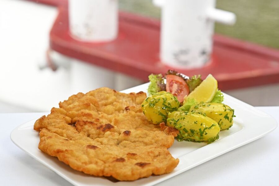 Vienna: Danube River Cruise w/ optional Viennese Specialties - Modern Vienna, with towers and a wide skyline