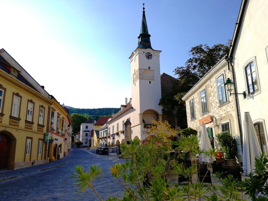 Vienna: Full-Day Vienna Woods Wine Tasting Tour - An extensive tasting with a local winemaker
