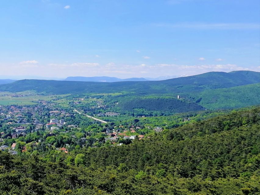 Vienna: Full-Day Vienna Woods Wine Tasting Tour - What the $187 price buys you