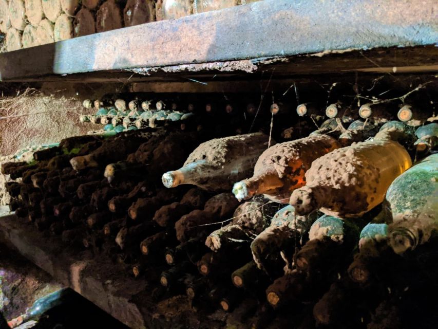 Vienna: Full-Day Vienna Woods Wine Tasting Tour - Who should book this day